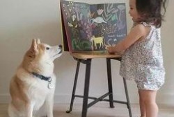 艺犬堂员工爆料视频,揭秘幕后真相