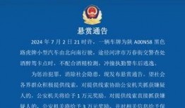 河津最新爆料消息新闻,揭秘重大新闻事件背后真相